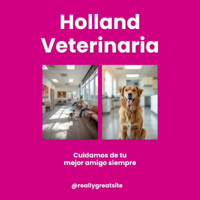 Holland Veterinaria | AniMALL