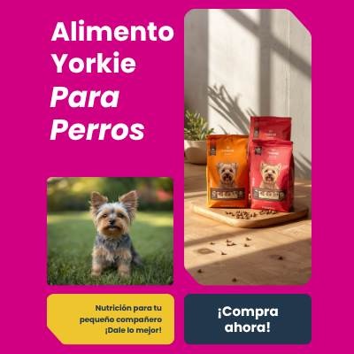 Alimento para Yorkie | AniMALL