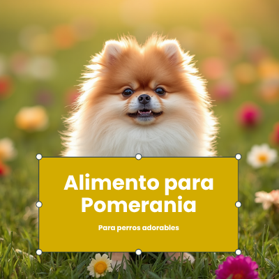Alimento para Pomerania | AniMALL