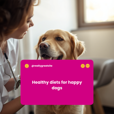 Dietas de Prescripción para Perro | AniMALL