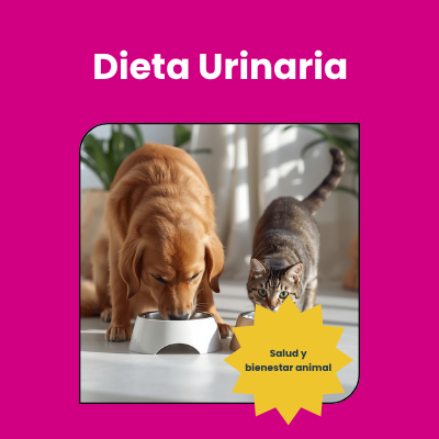 Dieta Urinaria Perro y Gato | AniMALL