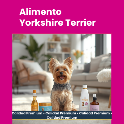 Alimento Yorkshire Terrier | AniMALL