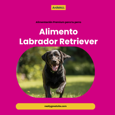 Alimento Labrador Retriever | AniMALL