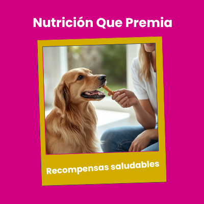Nutrición Que Premia by Hill's | AniMALL