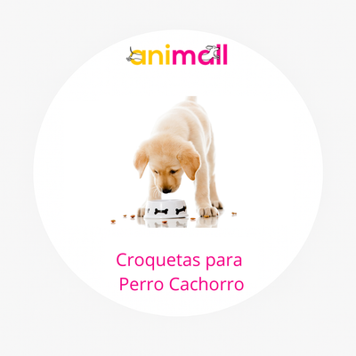 Croquetas para perro cachorro