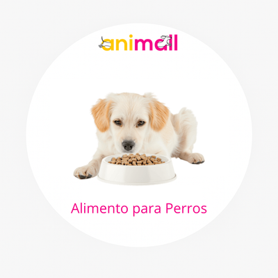alimento para perros