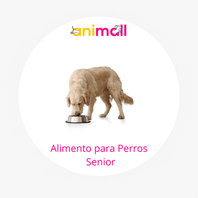 Alimento para Perros Senior