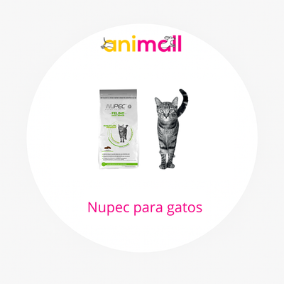 Nupec Gato