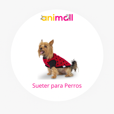 sueter para perro