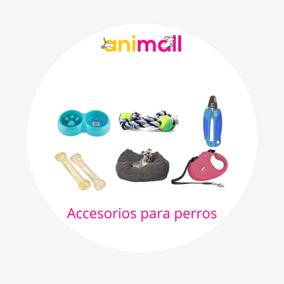 accesorios para perros