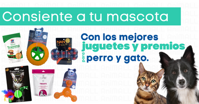 accesorios para gatos