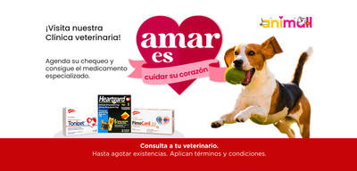 Productos Cardiovasculares Veterinarios para Perros y Gatos | AniMALL