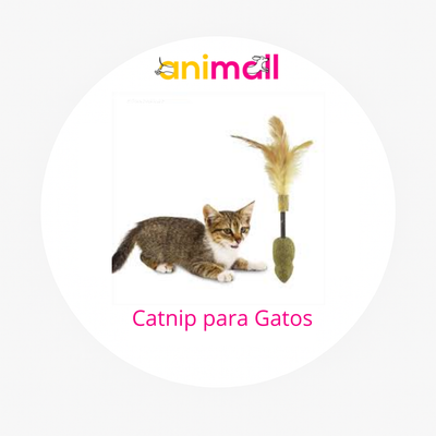 Juguetes con Catnip para Gatos