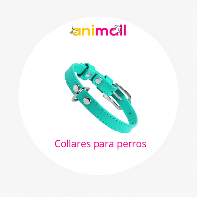 collares para perros
