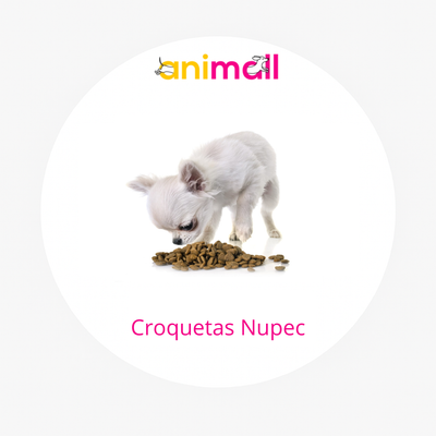 croquetas nupec