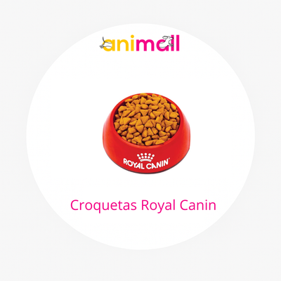 Croquetas Royal Canin