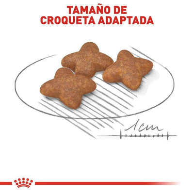 Croquetas Royal Canin