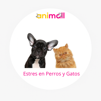 Control del Estrés en Perros y Gatos