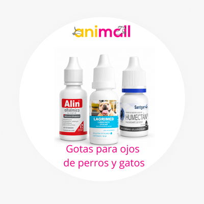 Gotas para Ojos de Perros y Gatos | Oftálmicas