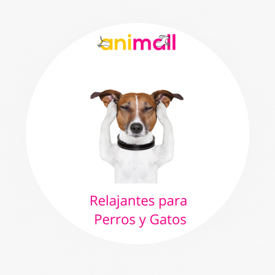 tranquilizante para perros