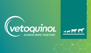 Vetoquinol Veterinaria | Medicamentos, Suplementos y Cuidado Clínico para Mascotas