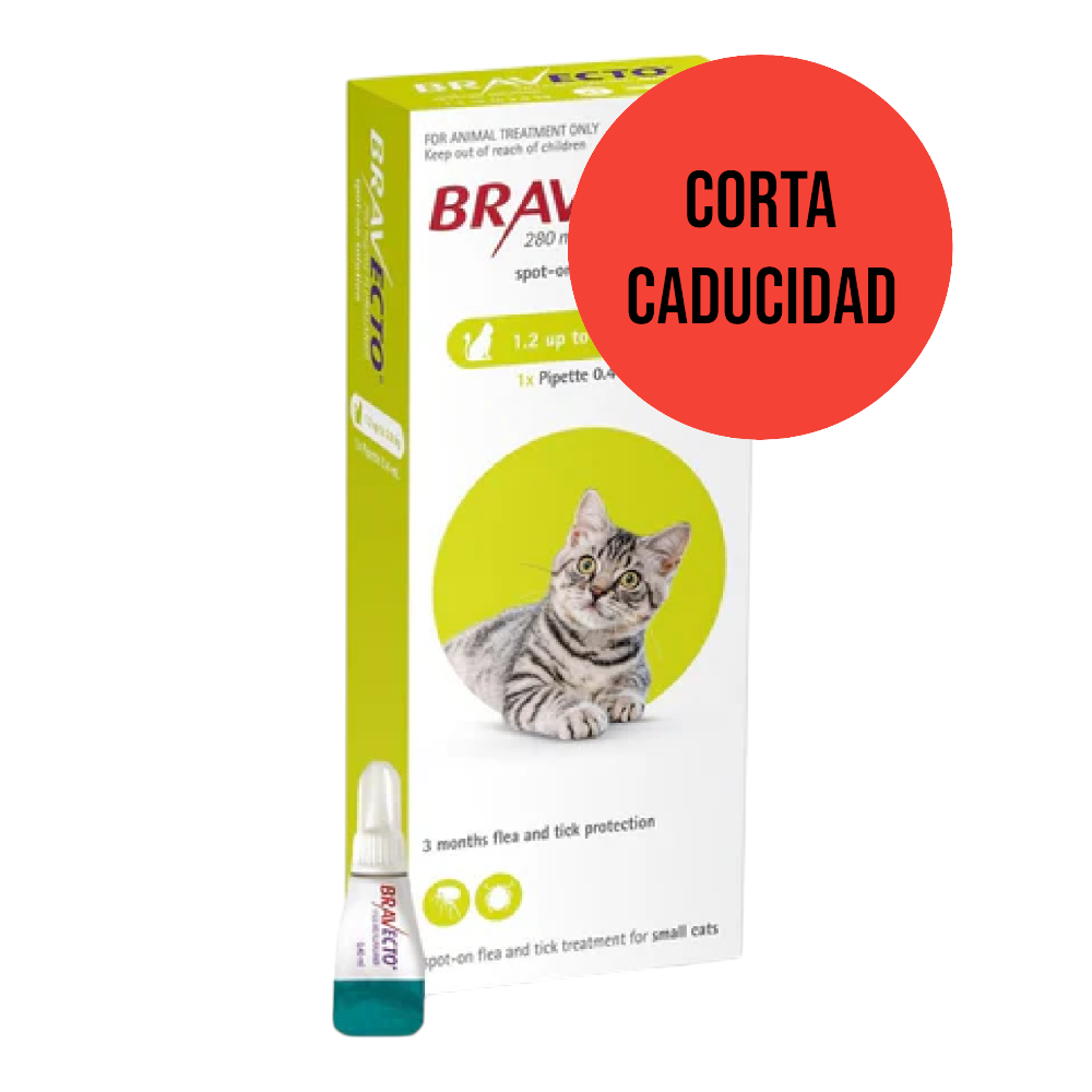 CORTA CADUCIDAD Bravecto Spot On Gato 112.5 mg 1.2 a 2.8 Kg