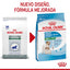 Royal Canin Small Starter Mother and Babydog 1.14Kg