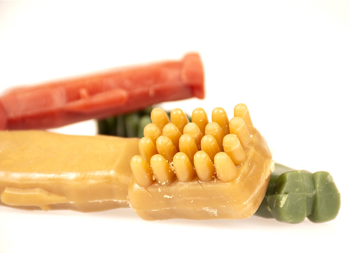 Detalle de las cerdas del masticable dental Garden Bites Toby Toothbrush S para perros pequeños