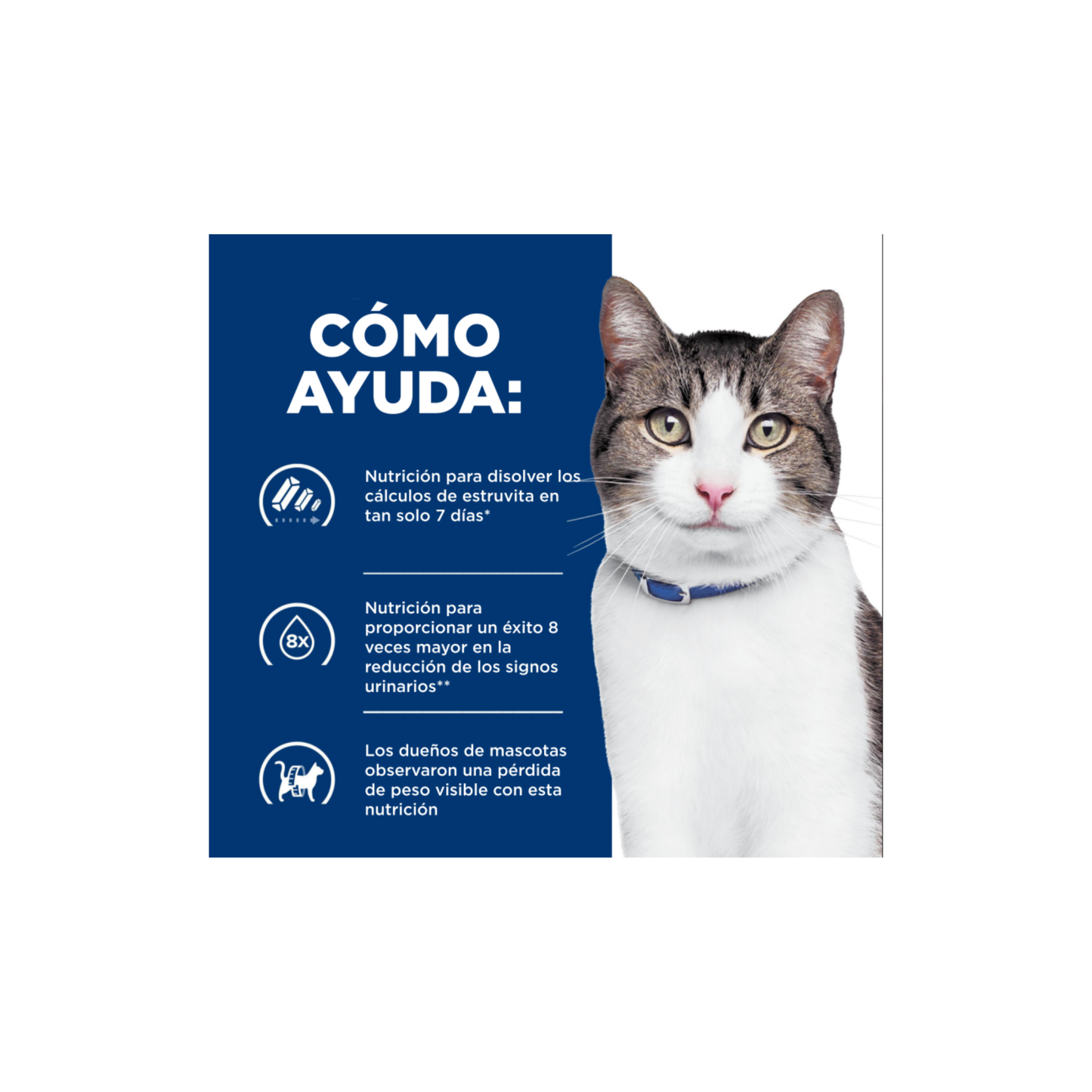 1 Lata Hill's Prescription Diet Feline Alimento Húmedo c/d Multicare and Metabolic Gato Sabor Vegetales y Pollo 82 g