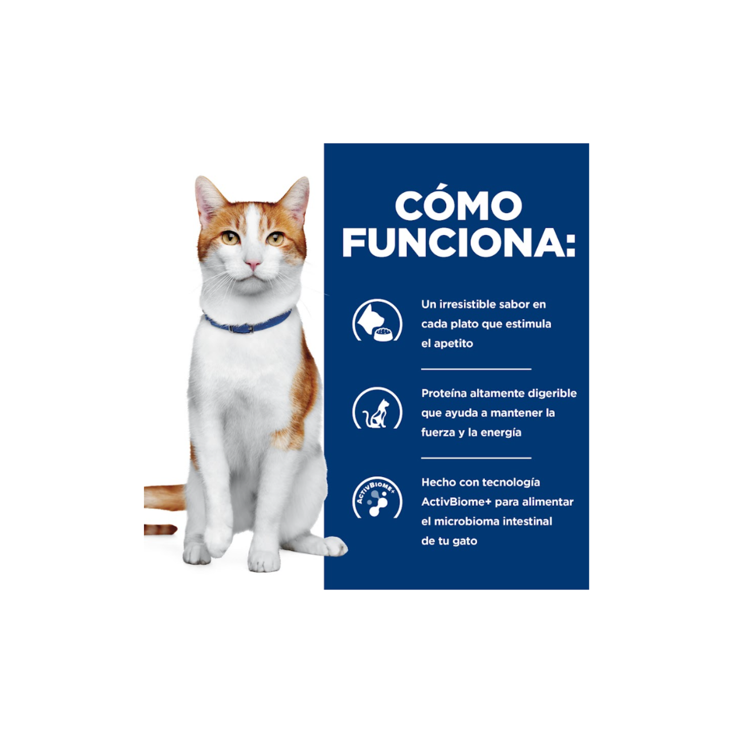 1 Lata Hill's Prescription Diet Feline ONC Care, Nutrición y Apoyo de Recuperación, para Gato, 82 g