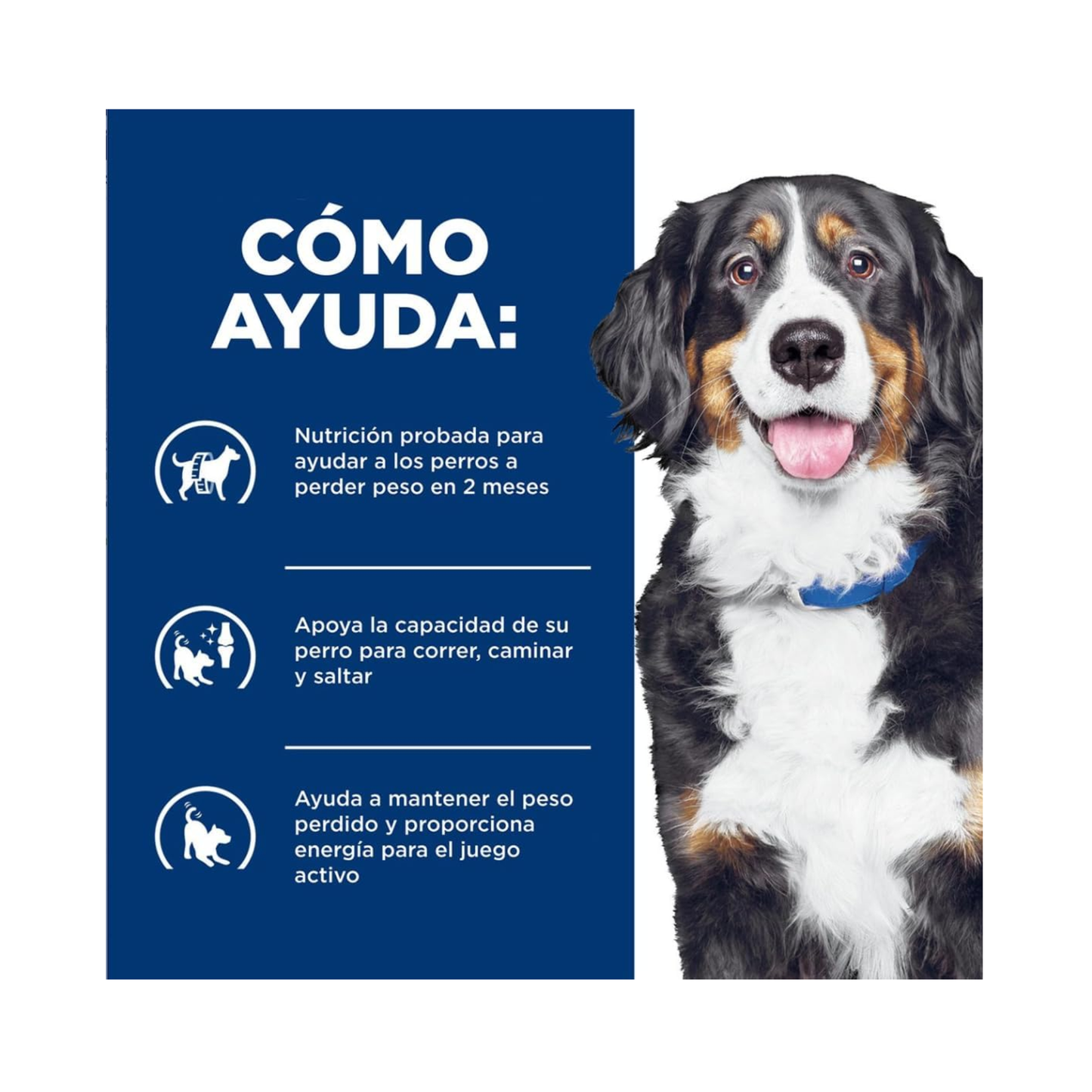 12 Latas Hill's Prescription Diet alimento húmedo para perro adulto Metabolic mas Mobility, sabor atún y vegetales, 354g