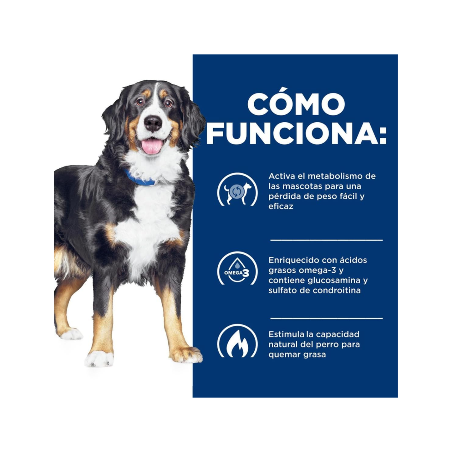 12 Latas Hill's Prescription Diet alimento húmedo para perro adulto Metabolic mas Mobility, sabor atún y vegetales, 354g