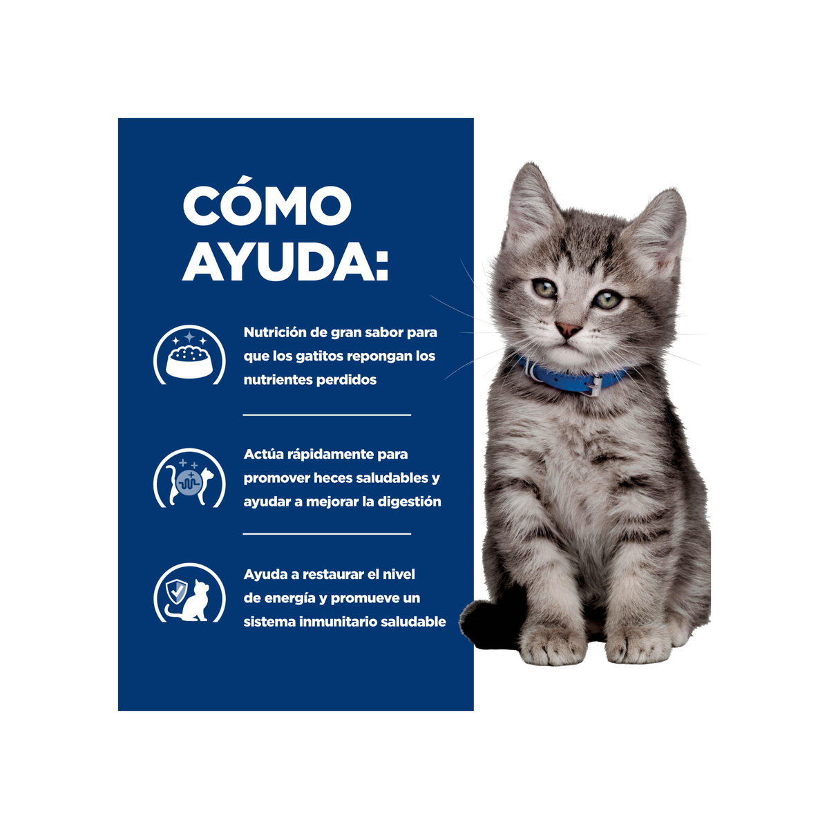 24 Latas Hill's Prescription Diet i/d Kitten, Cuidado Digestivo, Alimento Húmedo para Gatito, 156 g