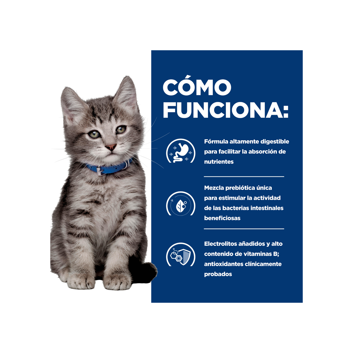 24 Latas Hill's Prescription Diet i/d Kitten, Cuidado Digestivo, Alimento Húmedo para Gatito, 156 g