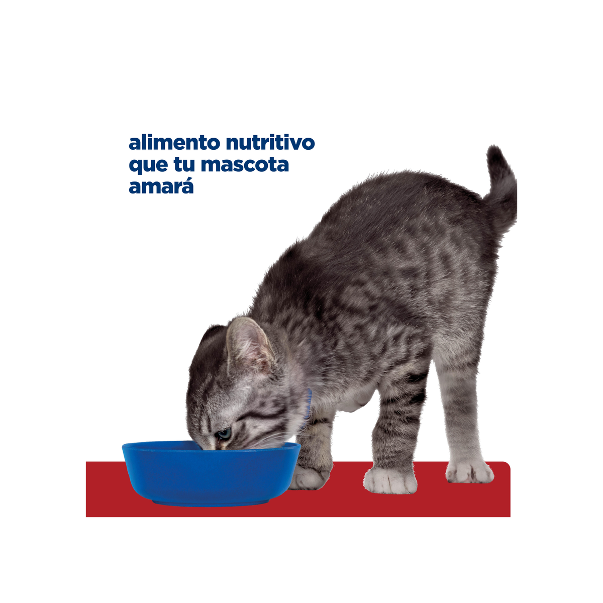 24 Latas Hill's Prescription Diet i/d Kitten, Cuidado Digestivo, Alimento Húmedo para Gatito, 156 g