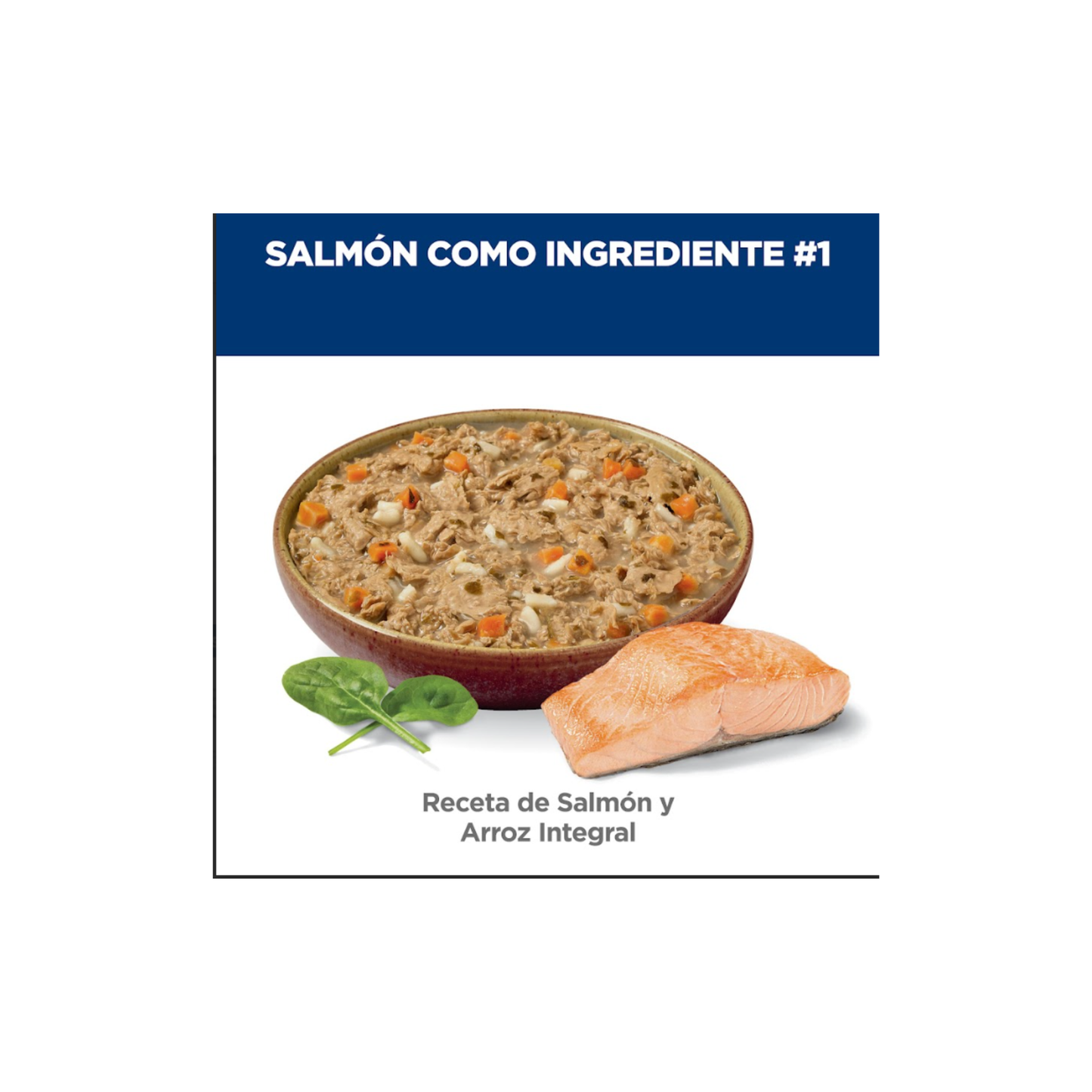 1 Lata Hill´s Science Diet Sensitive Stomach and Skin Kitten, Salmón y Vegetales 79 g