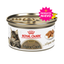 24 Latas Royal Canin Maine Coon Gato Adulto Slices in Gravy 85 g