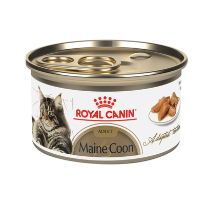 24 Latas Royal Canin Maine Coon Gato Adulto Slices in Gravy 85 g