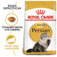 Royal Canin Gato Adulto Persian 3.1 Kg