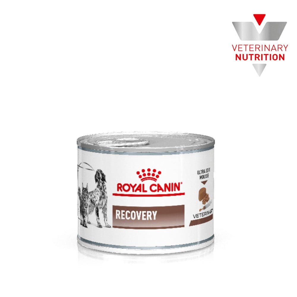 Lata Royal Canin Vet Perro y Gato Recovery 145 gr - AniMALL