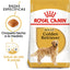 Royal Canin Golden Retriever Adulto 13.6 Kg.