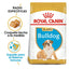 Royal Canin Alimento para Cachorro Bulldog 13.6 kg