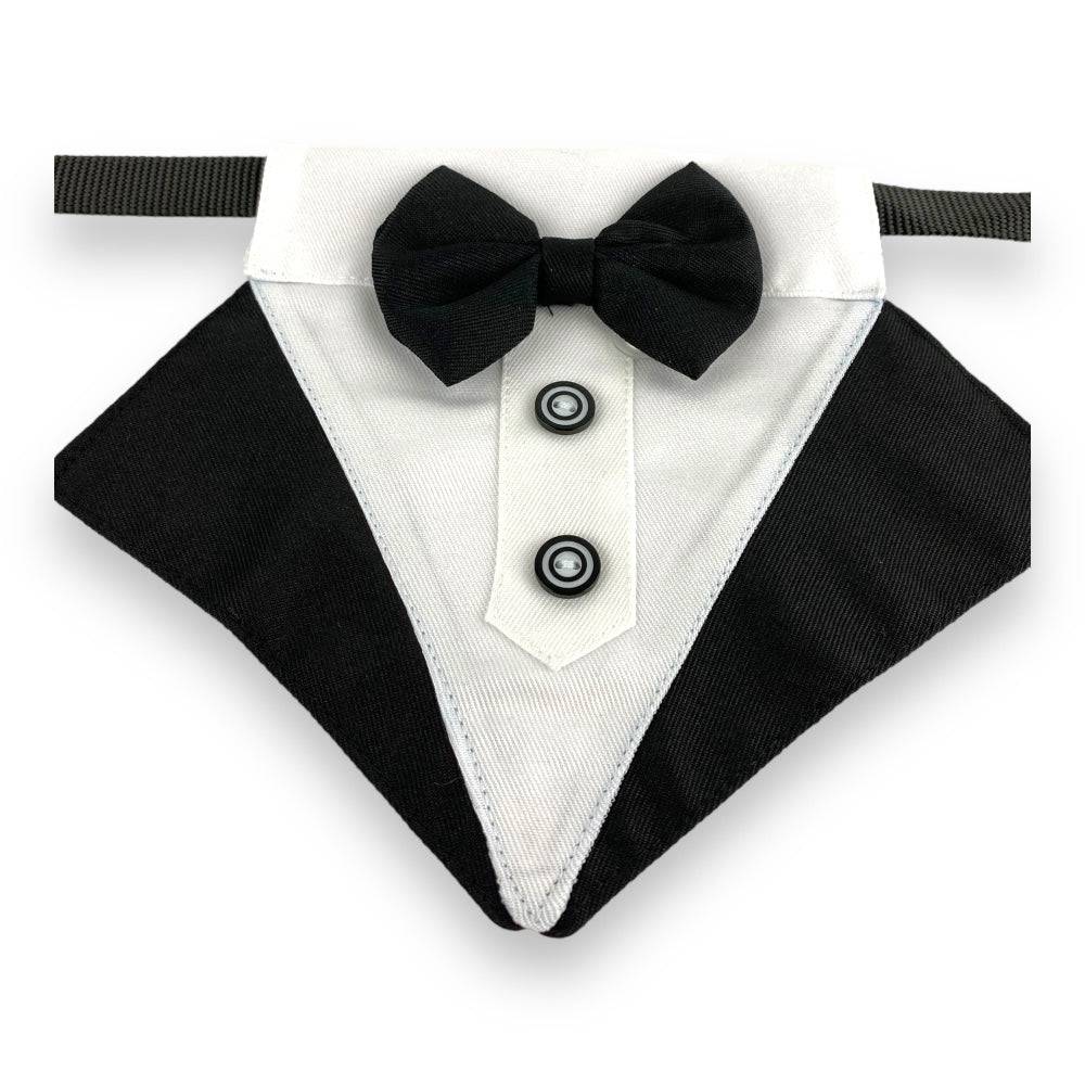 Pet bandana collar sales