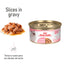 Lata Royal Canin Kitten Thin Slices in Gravy 85 gr