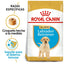 Royal Canin Cachorro Labrador Retriever 13.6 kg