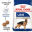 Royal Canin Perro Adulto Maxi Large 13.61 kg