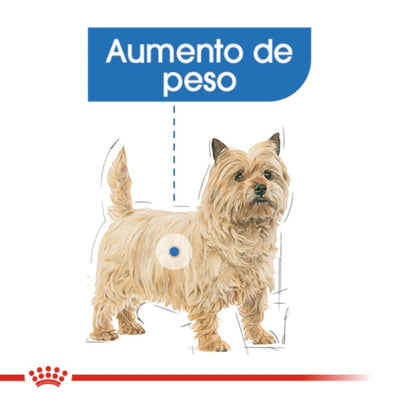 Royal Canin Mini Small Weight Care 1.13 Kg. - AniMALL