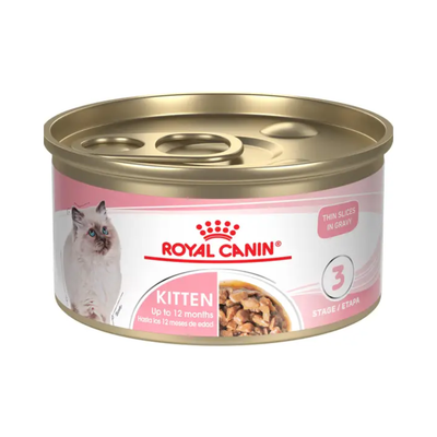 24 Latas Royal Canin Kitten Thin Slices in Gravy 85 gr