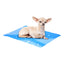 Fancy Pets Tapete Refrescante Aqua Cool XCH