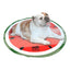 Tapete refrescante para perro Fancy Pets Circular Sandia MED
